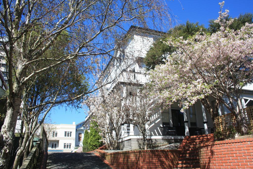 The Terrace Villas Serviced Apartments Wellington Eksteriør bilde
